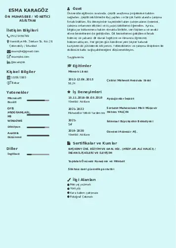 Yönetici Asistanı Cv Örnekleri cv indir